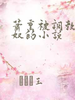 萧熏被调教成肉奴的小说