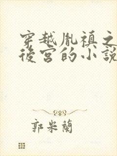 穿越胤禛之极品后宫的小说 穿越胤禛之极品后宫的小说