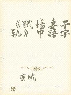 《职场妻子的出轨》中语字主演