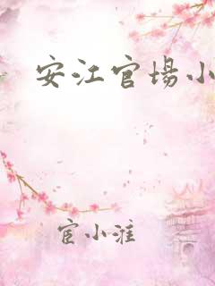 安江官场小说