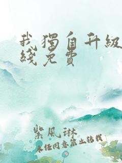 我独自升级 在线免费