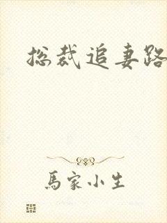 总裁追妻路漫漫