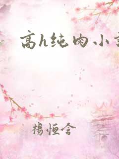 高h纯肉小说文