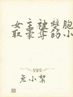 女主被双胞胎强取豪夺的小说