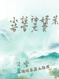 小说神婿叶凡唐若雪免费