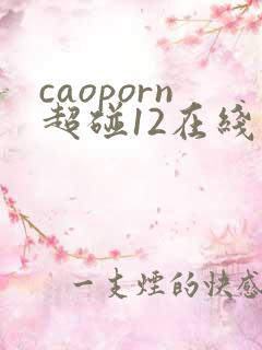 caoporn超碰12在线