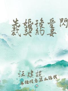先婚后爱闪婚总裁契约妻