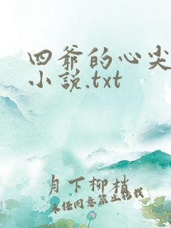 四爷的心尖宠妃小说.txt