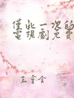 仅此一次的爱情电视剧免费观看全集