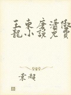 王东唐潇傲世潜龙小说免费阅读