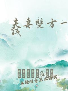 夫妻双方一方欠钱