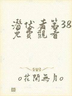 潜伏者第38集免费观看