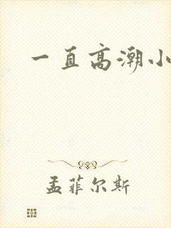 一直高潮小说