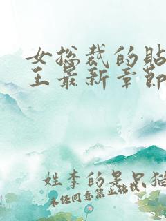 女总裁的贴身兵王最新章节