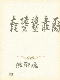 大佬追妻不择手段完整版阅读