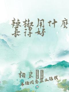 辣椒用什么肥料长得好