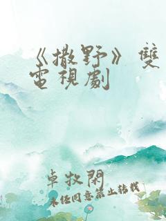 《撒野》双男主电视剧