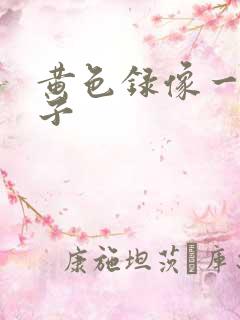 黄色录像一级片子