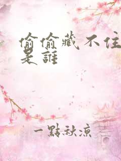 偷偷藏不住原著是谁