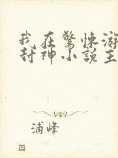 我在惊悚游戏里封神小说主角是谁