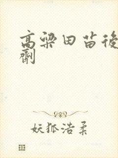 高粱田苗后除草剂