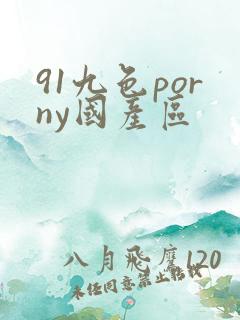91九色porny国产区