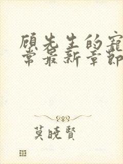 顾先生的宠妻日常最新章节免费阅读