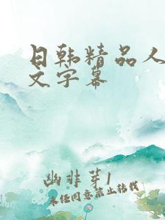日韩精品人妻中文字幕