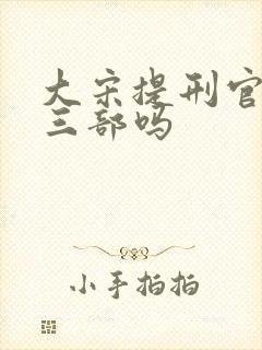 大宋提刑官有第三部吗