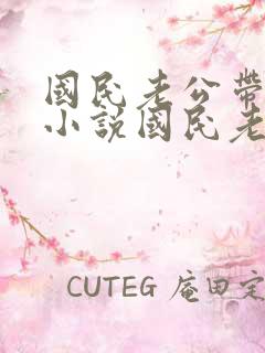 国民老公带回家小说国民老公带回家