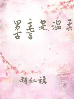 男主是温柔师兄古言