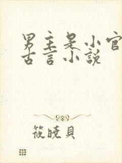 男主是小官吏的古言小说