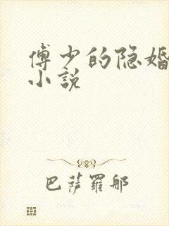 傅少的隐婚私妻小说
