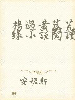 杨过黄蓉荒岛情缘小说阅读
