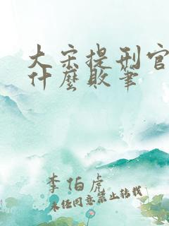 大宋提刑官2为什么败笔