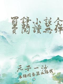 罗铮小说全文免费阅读无弹窗