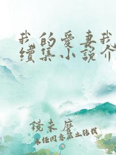 我的爱妻我的父续集小说介绍
