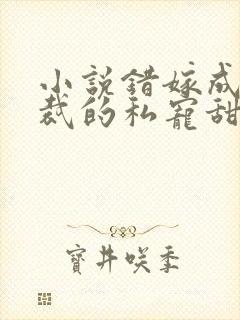 小说错嫁成婚总裁的私宠甜妻