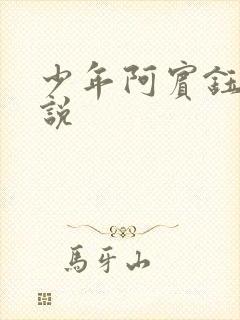 少年阿宾钰慧小说