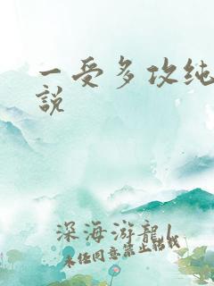 一受多攻纯肉小说