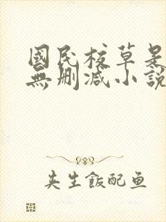 国民校草是女生无删减小说