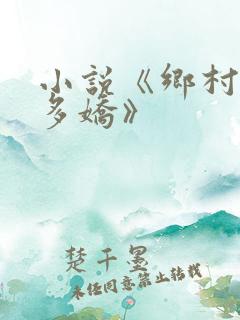 小说《乡村如此多娇》