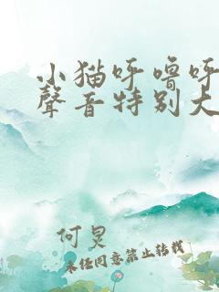 小猫呼噜呼噜的声音特别大