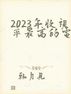 2023年收视率最高的电视剧排行榜