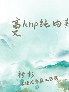 高hnp纯肉辣文