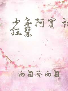少年阿宾 初识钰慧