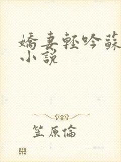 娇妻轻吟苏婉清小说