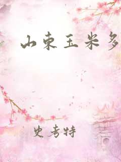 山东玉米多少钱