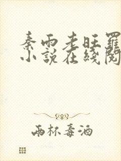 秦雨老旺罗明的小说在线阅读免费