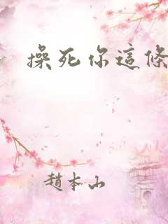 操死你这条母狗